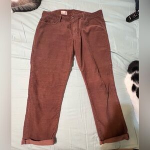 Gap size 8. Brown/Rust Corduroy boyfriend Pants